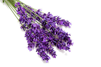Unknown Perfume