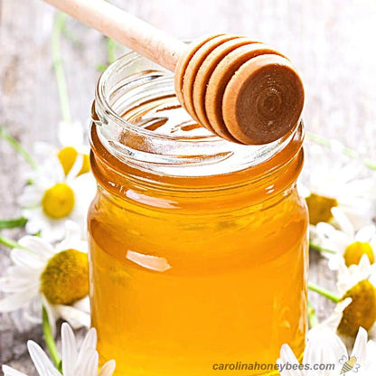 Honey Soap