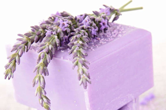 Lavender Soap