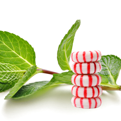 Peppermint Body Sugar Scrub